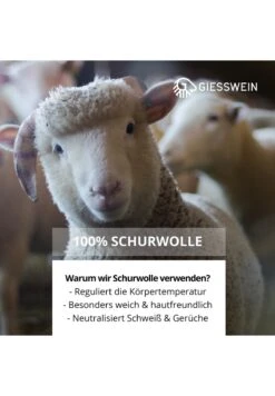 Giesswein OBERSTAUFEN - Hausschuh - Berry 11 Giesswein OBERSTAUFEN - Hausschuh - Berry -Angebote Giesswein Store 2f4c3fc4c9ab47f4b84d80565cdeb89a