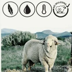 Giesswein Kinder-Hausschuhe Oberstaufen Hausschuhe -Angebote Giesswein Store 6884155 06